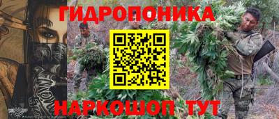 молекула духа Краснознаменск